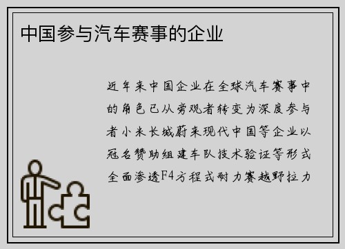 中国参与汽车赛事的企业
